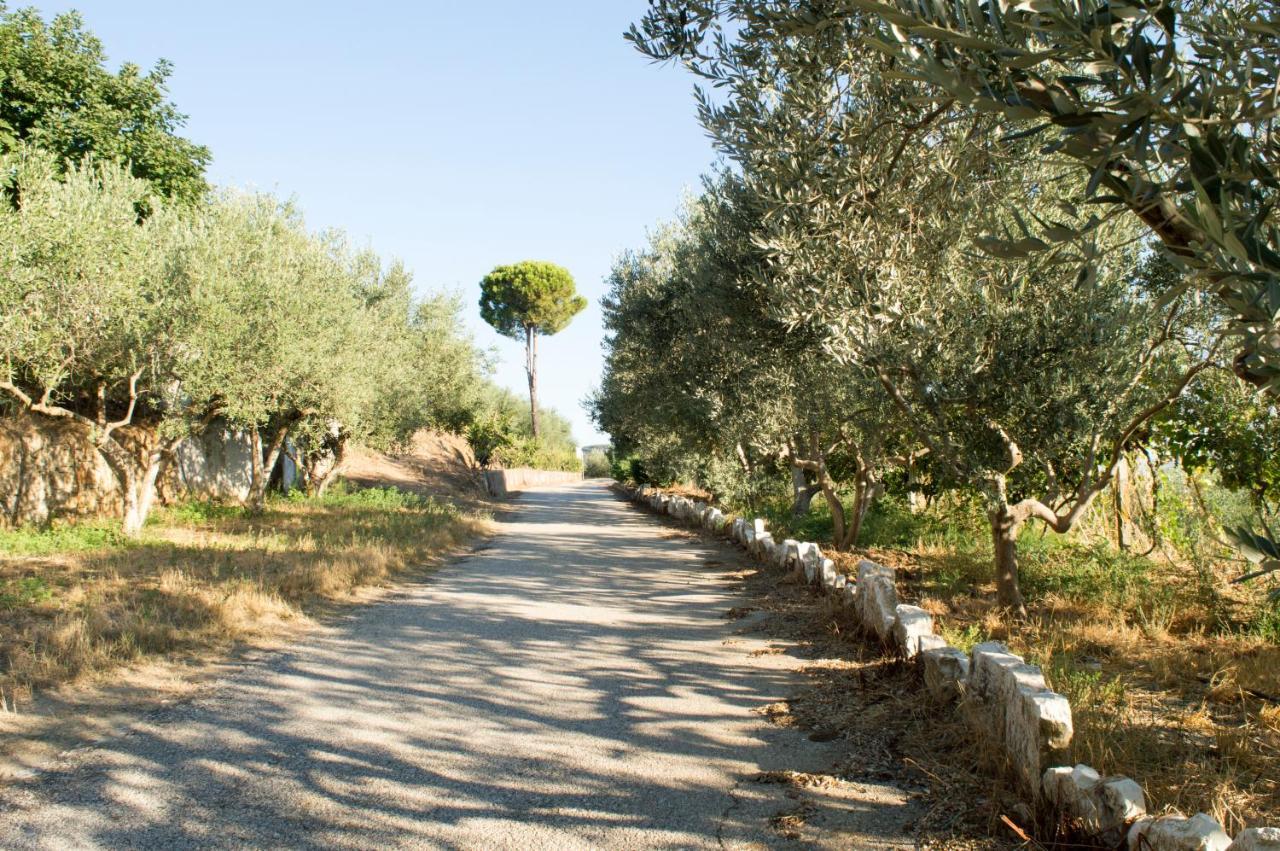 Hotel Nature Kolonje Dış mekan fotoğraf
