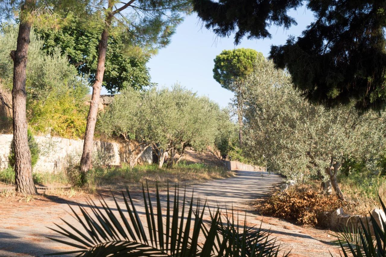 Hotel Nature Kolonje Dış mekan fotoğraf