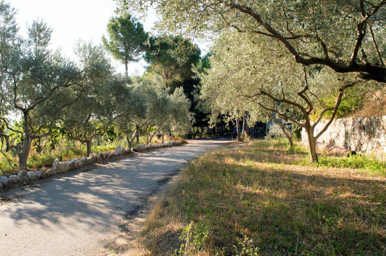Hotel Nature Kolonje Dış mekan fotoğraf