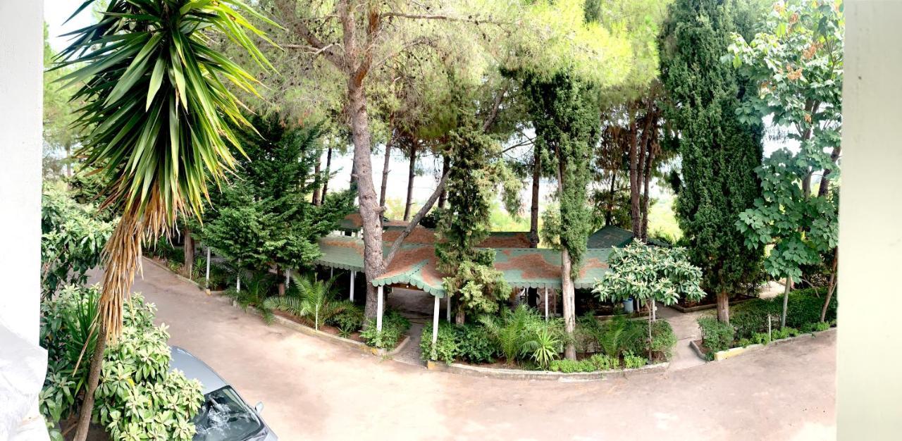 Hotel Nature Kolonje Dış mekan fotoğraf