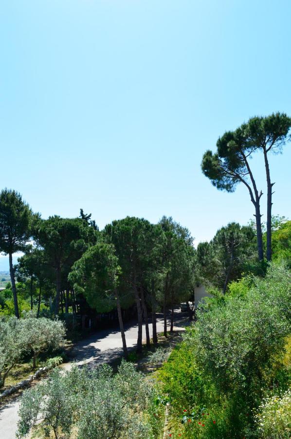 Hotel Nature Kolonje Dış mekan fotoğraf