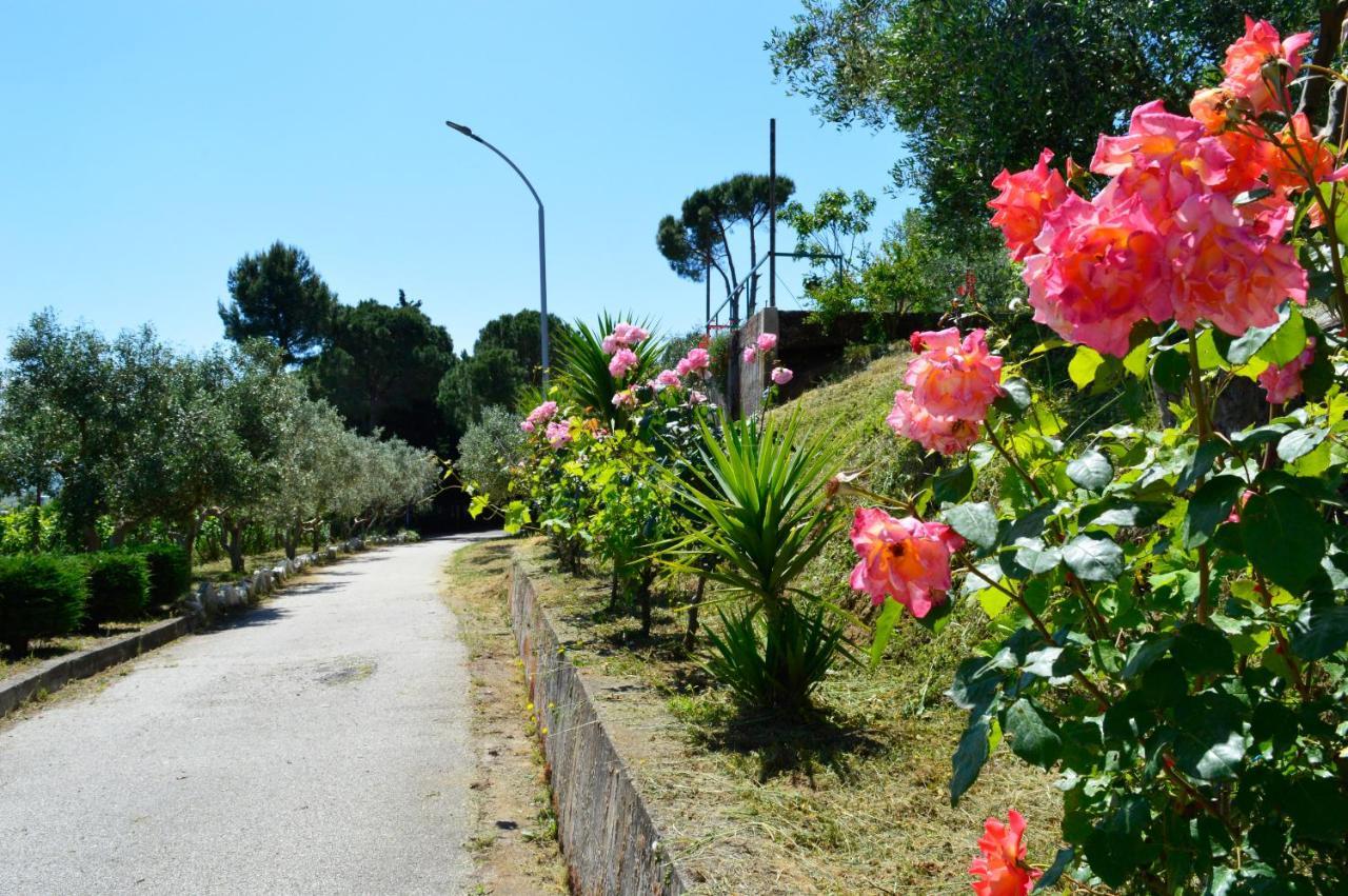 Hotel Nature Kolonje Dış mekan fotoğraf