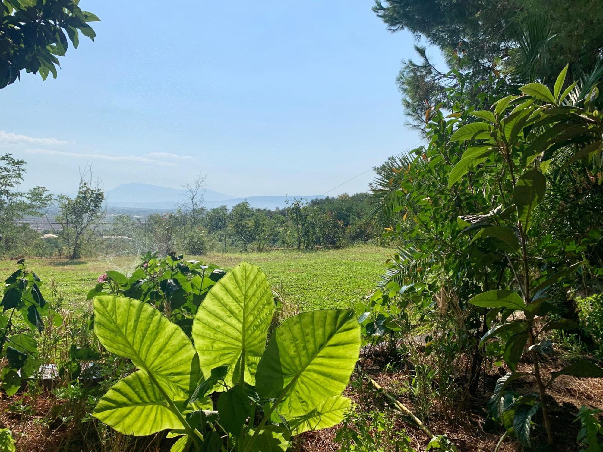 Hotel Nature Kolonje Dış mekan fotoğraf