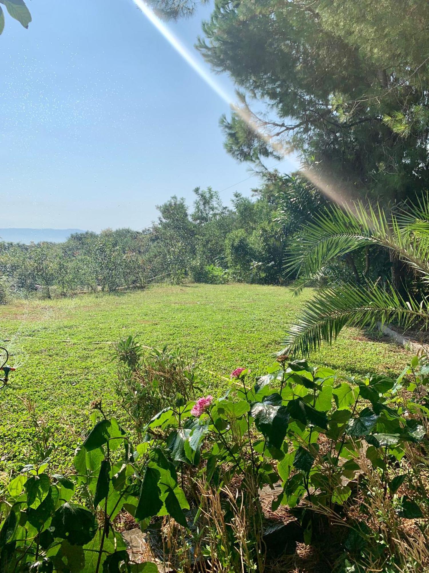 Hotel Nature Kolonje Dış mekan fotoğraf