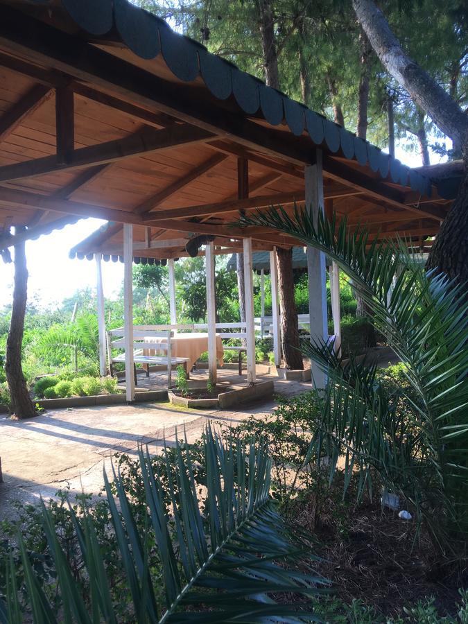 Hotel Nature Kolonje Dış mekan fotoğraf